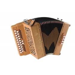 diatonic accordion